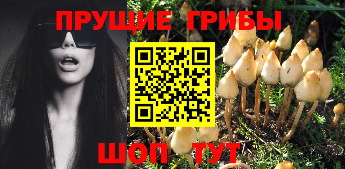 Галлюциногенные грибы Magic Shrooms Богородск